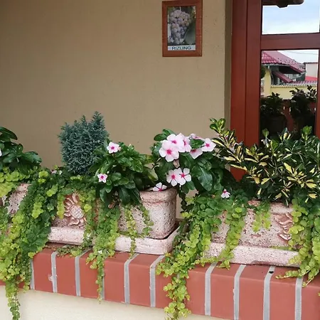 Vitis Vendeghaz 3* Becsehely