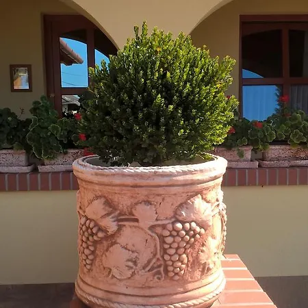 ゲストハウス Vitis Vendeghaz Becsehely