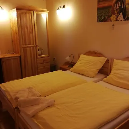 Vitis Vendeghaz ゲストハウス 3*