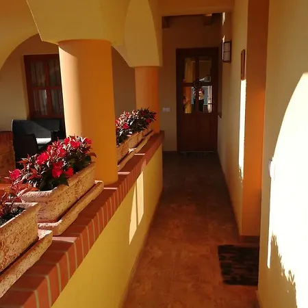 ゲストハウス Vitis Vendeghaz Becsehely