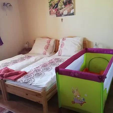 Vitis Vendeghaz Гостевой дом Becsehely