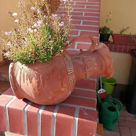 Vitis Vendeghaz ゲストハウス