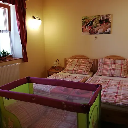 ゲストハウス Vitis Vendeghaz