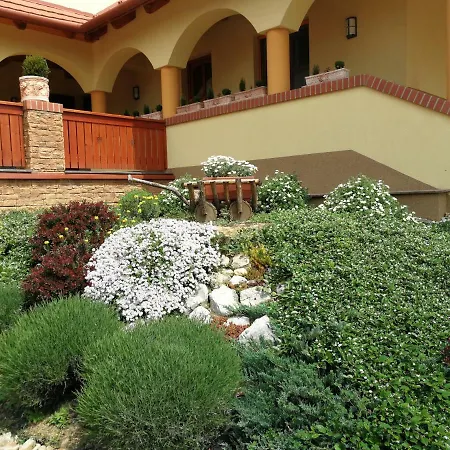 ゲストハウス Vitis Vendeghaz 3*