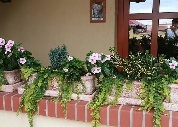 Vitis Vendeghaz 3* Becsehely